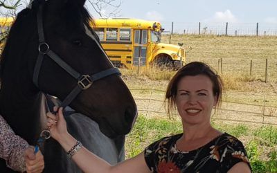 Exclusieve coaching met dieren WERKT!